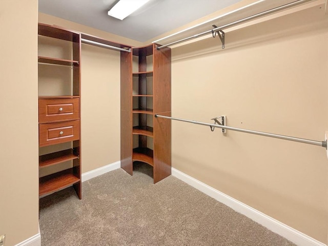 spacious closet featuring carpet flooring