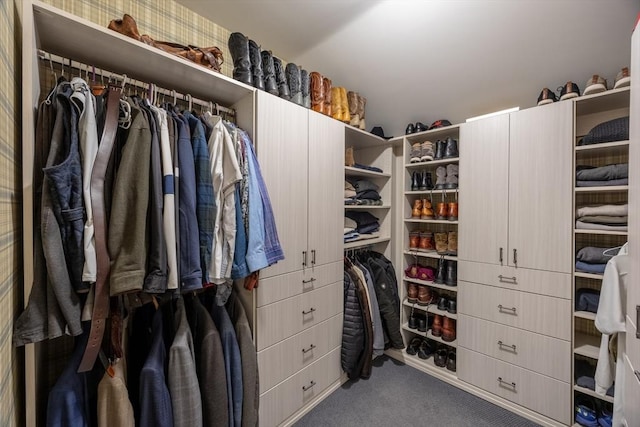 walk in closet featuring carpet