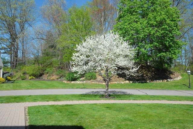 15 Edmonds Rd Unit 15, Concord, MA 01742 - view of home's community with a yard