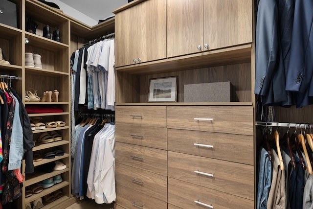 view of spacious closet