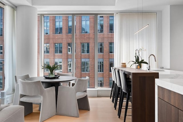 dining room featuring light wood finished floors