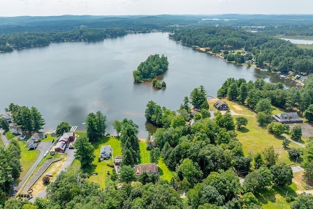 birds eye view of property featuring a water view and a wooded view