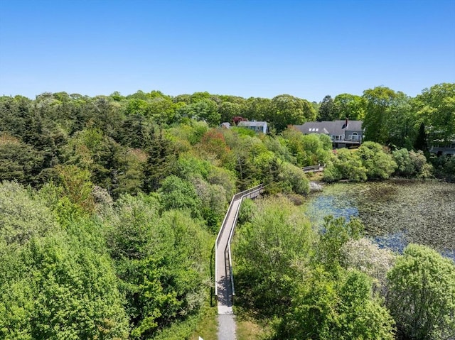 aerial view of a large body of water and a heavily wooded area