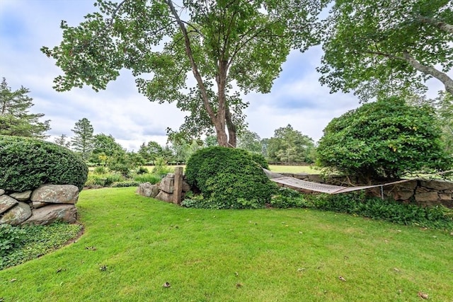 167 Bakerville, Dartmouth, MA 02748 - view of green lawn