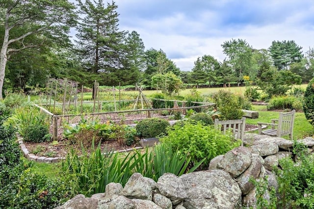 167 Bakerville, Dartmouth, MA 02748 - view of yard