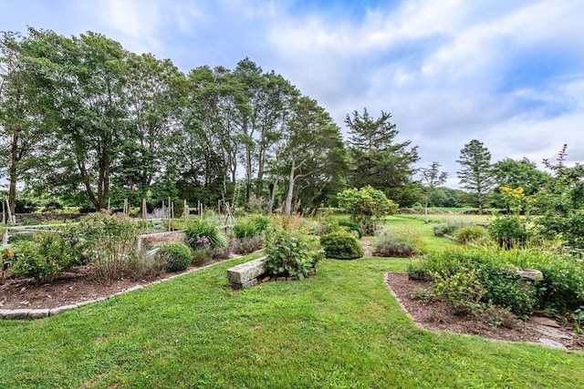 167 Bakerville, Dartmouth, MA 02748 - view of green lawn