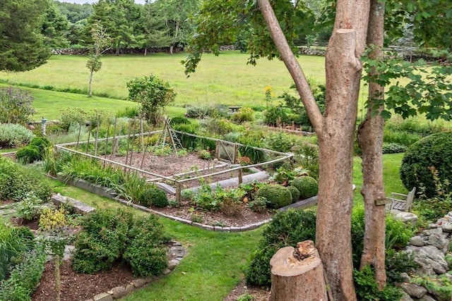 167 Bakerville, Dartmouth, MA 02748 - view of grassy yard featuring a vegetable garden