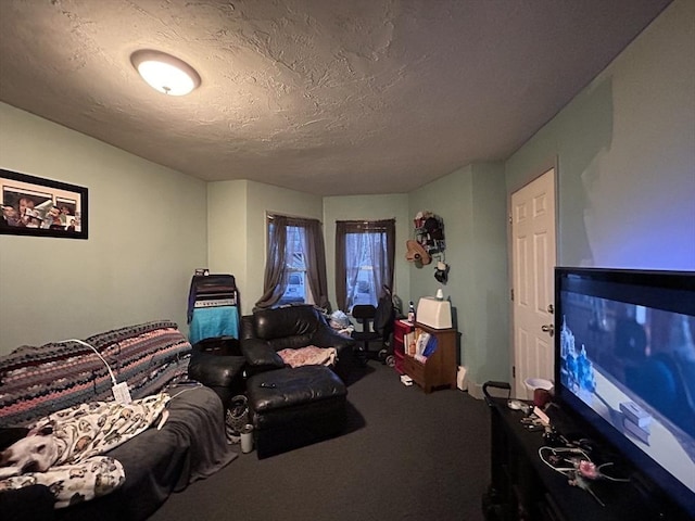 living room featuring carpet flooring and a textured ceiling