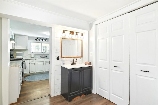 bathroom featuring crown molding, vanity, and wood finished floors