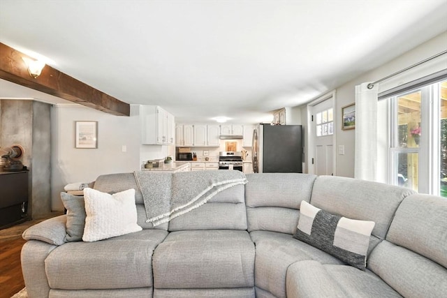 living room featuring wood finished floors