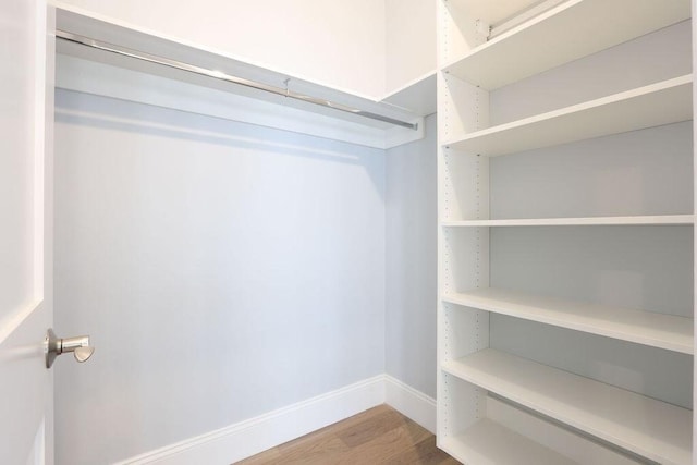 spacious closet featuring wood-type flooring