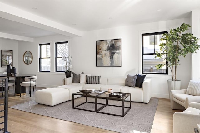 living room featuring plenty of natural light and light wood-type flooring