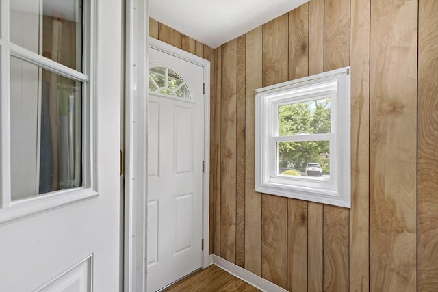 doorway featuring plenty of natural light and wood walls