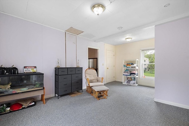 9 Green St, Brookfield, MA 01506 - sitting room with carpet and baseboards