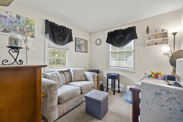 living room with light carpet