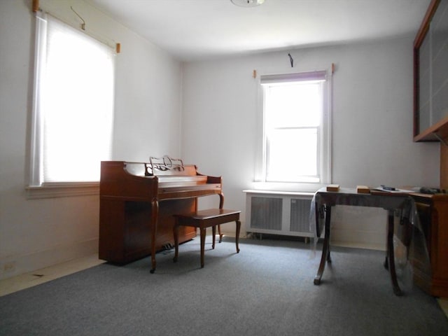 3 Anderson Ave, Worcester, MA 01604 - carpeted office with radiator and plenty of natural light