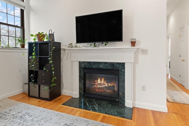 details featuring baseboards, wood finished floors, and a premium fireplace