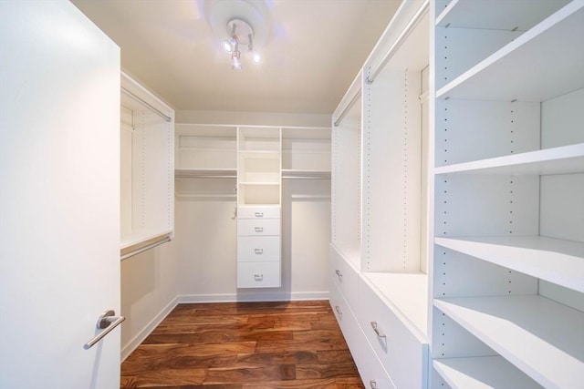 walk in closet featuring dark wood-style floors