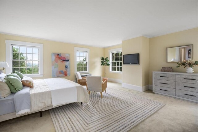 33 Wellington Ln, Belmont, MA 02478 - bedroom featuring light colored carpet and baseboards