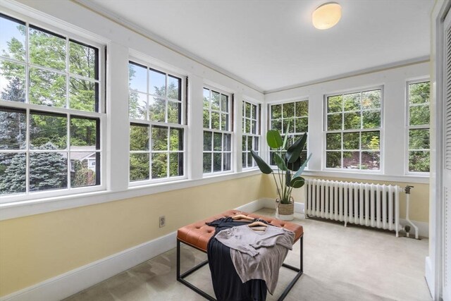 33 Wellington Ln, Belmont, MA 02478 - sunroom / solarium featuring radiator, healthy amount of natural light, baseboards, and carpet
