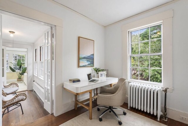 33 Wellington Ln, Belmont, MA 02478 - office area featuring radiator heating unit, wood finished floors, and ornamental molding