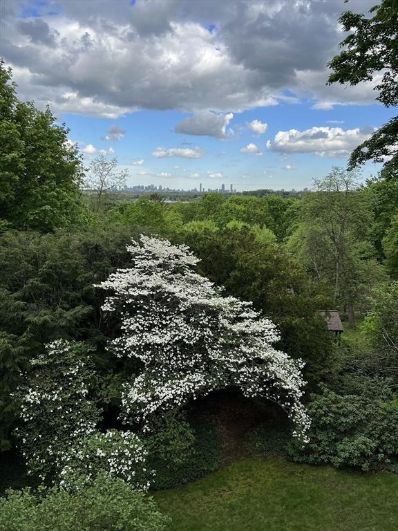 33 Wellington Ln, Belmont, MA 02478 - view of tree filled area