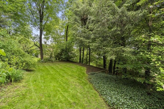 33 Wellington Ln, Belmont, MA 02478 - view of green lawn