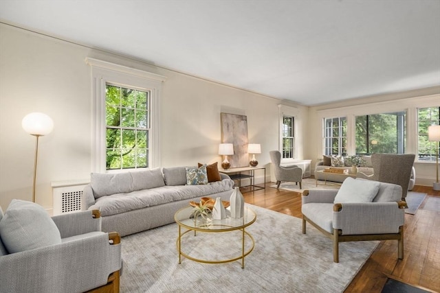 33 Wellington Ln, Belmont, MA 02478 - living room with plenty of natural light and wood finished floors