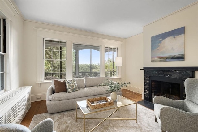 33 Wellington Ln, Belmont, MA 02478 - living area featuring baseboards, ornamental molding, wood finished floors, and a fireplace