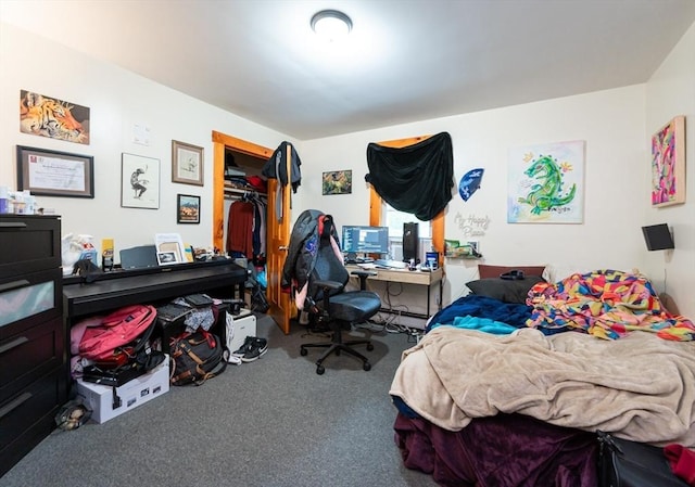 8 Everett St, Somerville, MA 02143 - bedroom with carpet floors, a spacious closet, and a closet