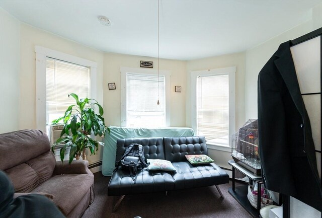 8 Everett St, Somerville, MA 02143 - living room featuring carpet