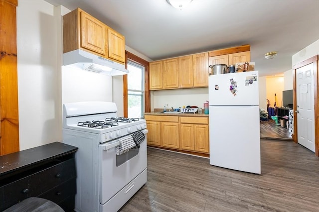 8 Everett St, Somerville, MA 02143 - kitchen with white appliances, under cabinet range hood, dark wood-style floors, and light brown cabinets
