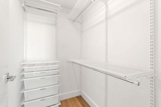 spacious closet with light hardwood / wood-style floors