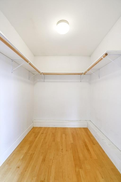 spacious closet featuring wood finished floors