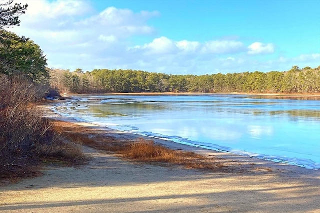 property view of water