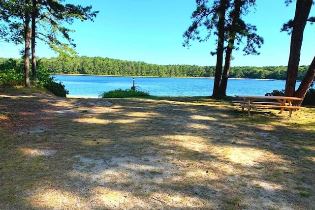 view of water feature