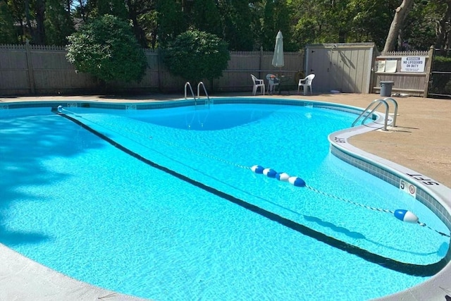 view of pool with a patio and a shed