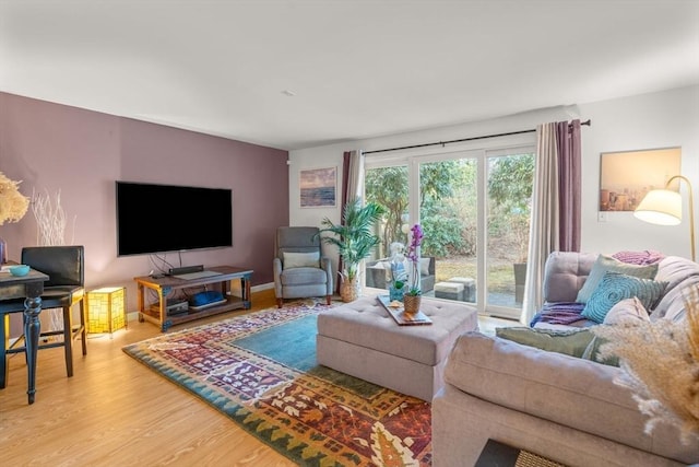 living room featuring wood-type flooring