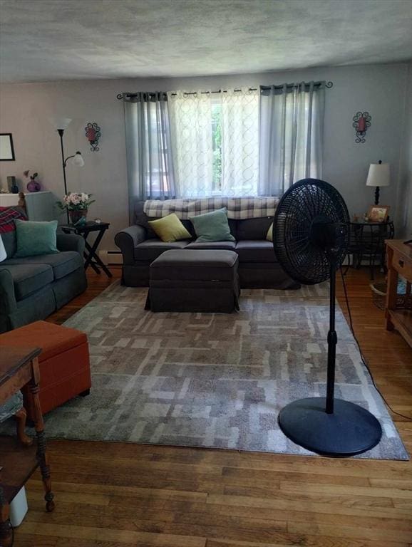 living room with hardwood / wood-style floors