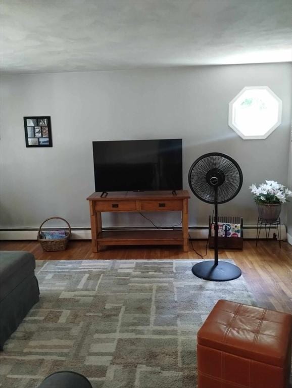 living area featuring hardwood / wood-style floors