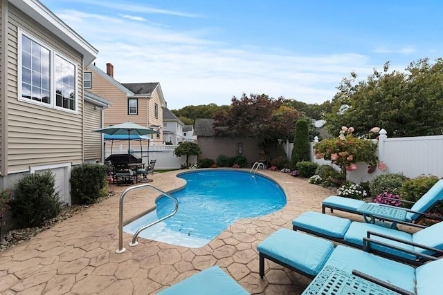 view of swimming pool featuring a patio