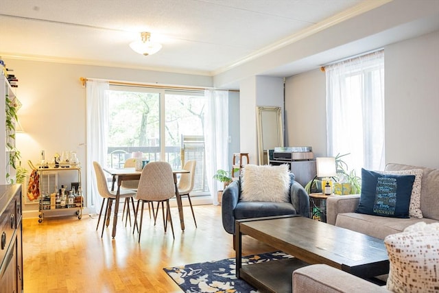 280 Harvard St Unit 1A, Cambridge, MA 02139 - living room with crown molding and light wood-style floors