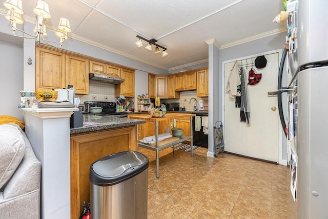 280 Harvard St Unit 1A, Cambridge, MA 02139 - kitchen featuring under cabinet range hood, black range with electric cooktop, backsplash, crown molding, and dark countertops