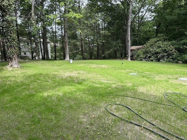 61 Esta Rd, Plymouth, MA 02360 - view of grassy yard