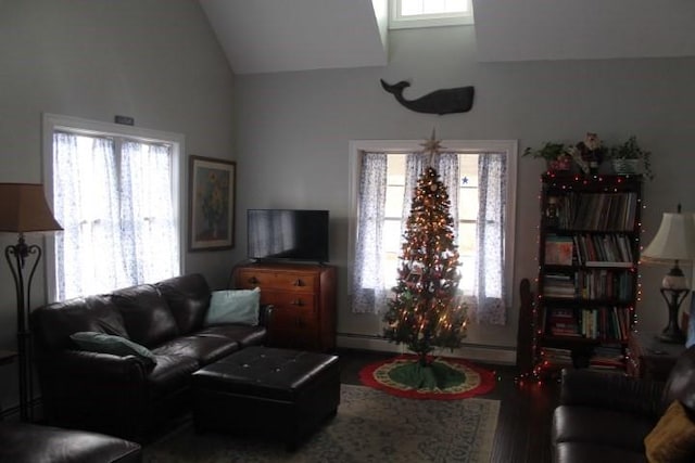 living room featuring lofted ceiling