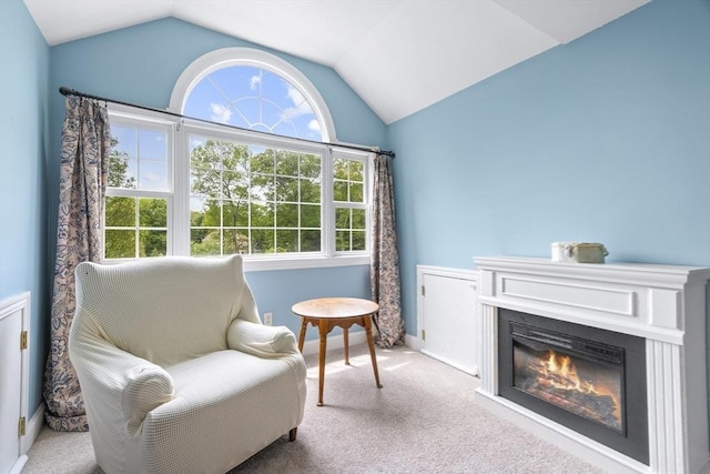 53 Arnold Way, Uxbridge, MA 01569 - living area with lofted ceiling, carpet floors, and a glass covered fireplace