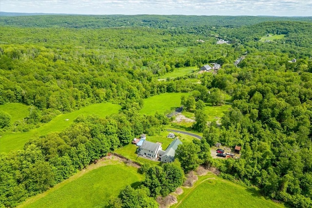 447 Coy Hill Rd, Warren, MA 01083 - aerial view of a forest