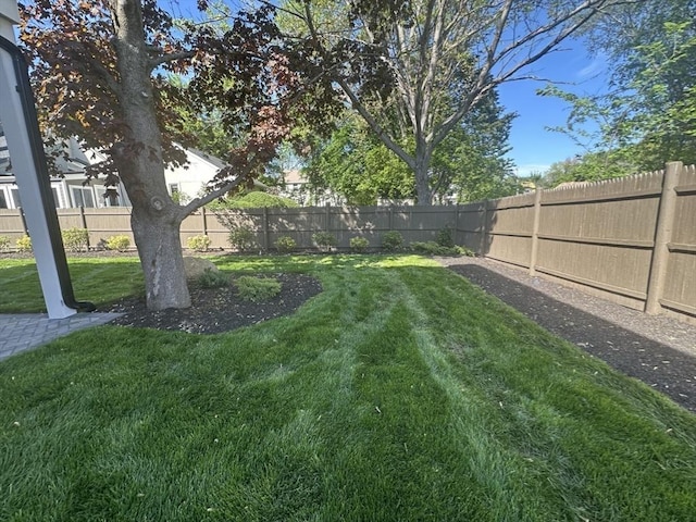 55 June Ln, Newton, MA 02459 - view of yard