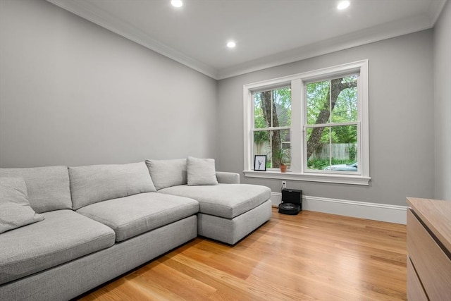 2 Rockwood Ter Unit 2, Newton, MA 02466 - living area featuring crown molding, light wood-style floors, recessed lighting, and baseboards