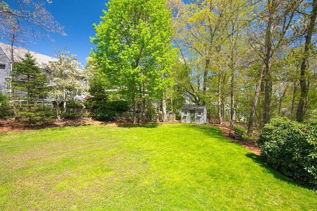 view of yard with a storage shed and an outdoor structure